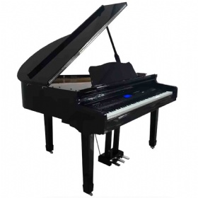 Custom 88 Keys Baby Grand Digital Piano China