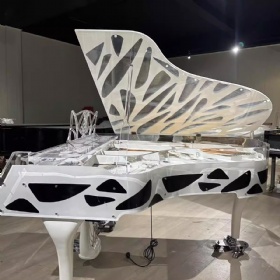 Custom Crystal Transparent Acrylic Butterfly Grand Piano for Performance, Accept Piano OEM Project