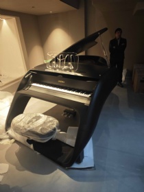 2024 Custom Car Piano for Hotel Furniture Pegasus Concert Grand Piano with Kinds Colors Available